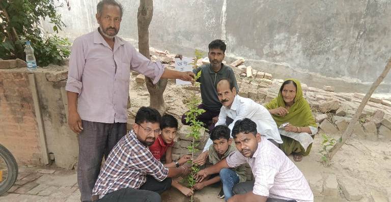 एक पेड़ मां के नाम